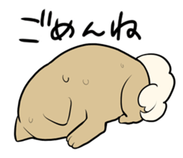 Japanese Shiba Inu<Dog breed> sticker #15042104