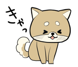 Japanese Shiba Inu<Dog breed> sticker #15042130