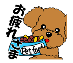 Move! Zoom in Children Toy Poodle 11 sticker #15043157