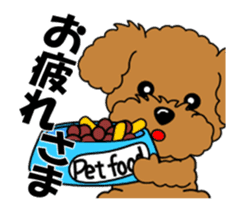 Move! Zoom in Children Toy Poodle 11 sticker #15043157
