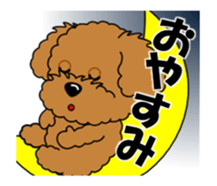 Move! Zoom in Children Toy Poodle 11 sticker #15043159