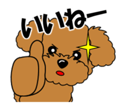 Move! Zoom in Children Toy Poodle 11 sticker #15043164