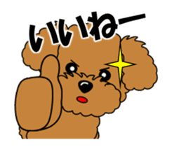 Move! Zoom in Children Toy Poodle 11 sticker #15043164
