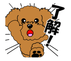 Move! Zoom in Children Toy Poodle 11 sticker #15043172