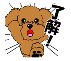 Move! Zoom in Children Toy Poodle 11 sticker #15043172