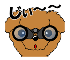 Move! Zoom in Children Toy Poodle 11 sticker #15043173