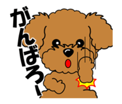 Move! Zoom in Children Toy Poodle 11 sticker #15043177