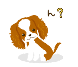 Cavalier King Charles Spaniel<Dog breed> sticker #15044076