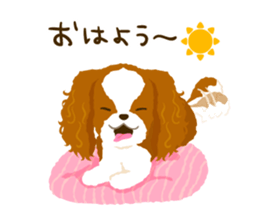 Cavalier King Charles Spaniel<Dog breed> sticker #15044077