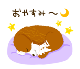 Cavalier King Charles Spaniel<Dog breed> sticker #15044078