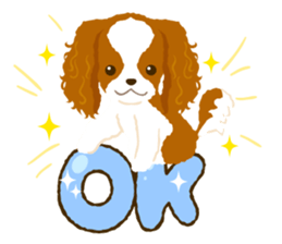 Cavalier King Charles Spaniel<Dog breed> sticker #15044079