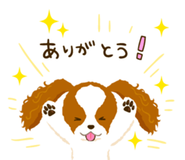 Cavalier King Charles Spaniel<Dog breed> sticker #15044080