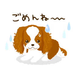 Cavalier King Charles Spaniel<Dog breed> sticker #15044081