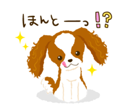 Cavalier King Charles Spaniel<Dog breed> sticker #15044084