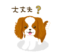 Cavalier King Charles Spaniel<Dog breed> sticker #15044085