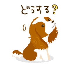 Cavalier King Charles Spaniel<Dog breed> sticker #15044086