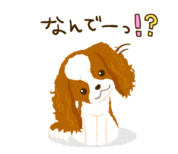 Cavalier King Charles Spaniel<Dog breed> sticker #15044087