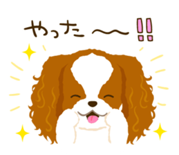 Cavalier King Charles Spaniel<Dog breed> sticker #15044088