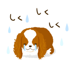 Cavalier King Charles Spaniel<Dog breed> sticker #15044089