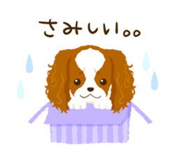 Cavalier King Charles Spaniel<Dog breed> sticker #15044090