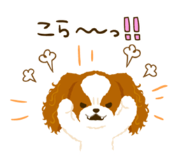 Cavalier King Charles Spaniel<Dog breed> sticker #15044095