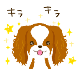 Cavalier King Charles Spaniel<Dog breed> sticker #15044096