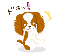 Cavalier King Charles Spaniel<Dog breed> sticker #15044098