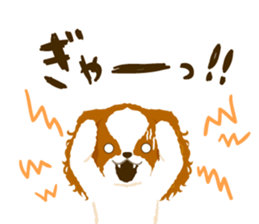 Cavalier King Charles Spaniel<Dog breed> sticker #15044100