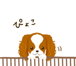 Cavalier King Charles Spaniel<Dog breed> sticker #15044101
