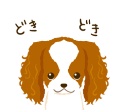 Cavalier King Charles Spaniel<Dog breed> sticker #15044104