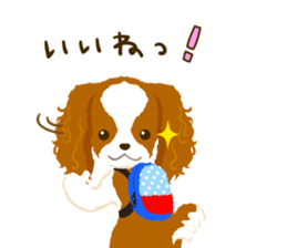 Cavalier King Charles Spaniel<Dog breed> sticker #15044105