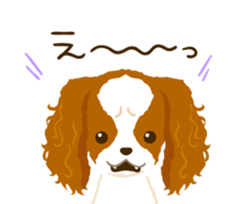 Cavalier King Charles Spaniel<Dog breed> sticker #15044106