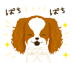 Cavalier King Charles Spaniel<Dog breed> sticker #15044108