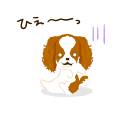 Cavalier King Charles Spaniel<Dog breed> sticker #15044113