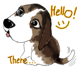 The beagle meets the little rabbit 2017 sticker #15044116