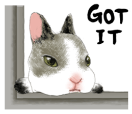 The beagle meets the little rabbit 2017 sticker #15044136