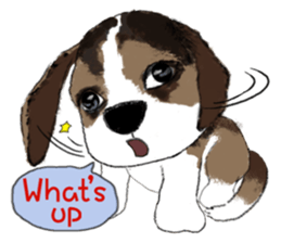 The beagle meets the little rabbit 2017 sticker #15044141