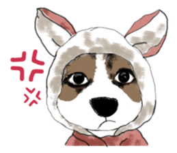 The beagle meets the little rabbit 2017 sticker #15044142