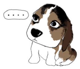 The beagle meets the little rabbit 2017 sticker #15044147