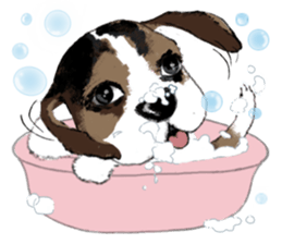 The beagle meets the little rabbit 2017 sticker #15044149