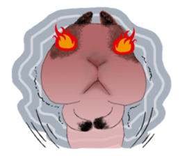 The beagle meets the little rabbit 2017 sticker #15044153