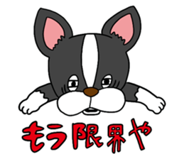 Boston terrier<Dog breed> sticker #15044316