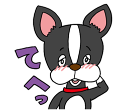 Boston terrier<Dog breed> sticker #15044322