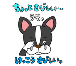 Boston terrier<Dog breed> sticker #15044324