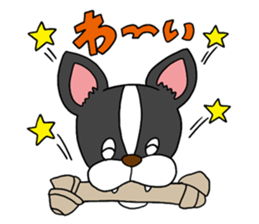 Boston terrier<Dog breed> sticker #15044325
