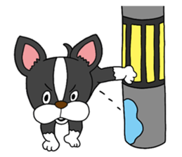 Boston terrier<Dog breed> sticker #15044326