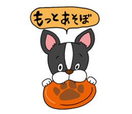 Boston terrier<Dog breed> sticker #15044327