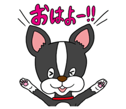Boston terrier<Dog breed> sticker #15044328