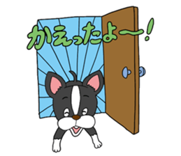 Boston terrier<Dog breed> sticker #15044331