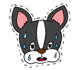 Boston terrier<Dog breed> sticker #15044334
